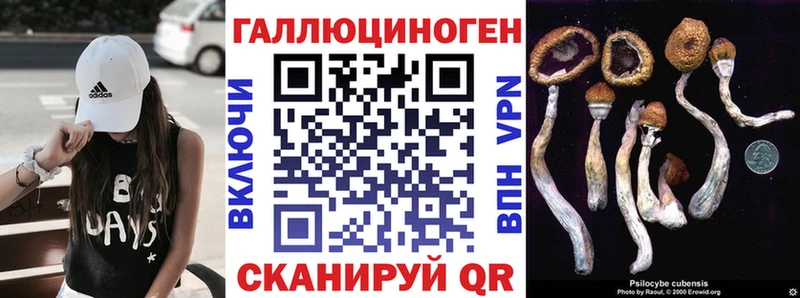 Галлюциногенные грибы прущие грибы  Великий Новгород 