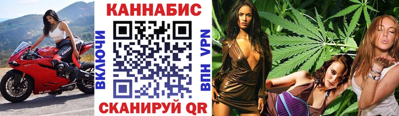 Шишки марихуана гибрид  omg рабочий сайт  Великий Новгород  наркота 
